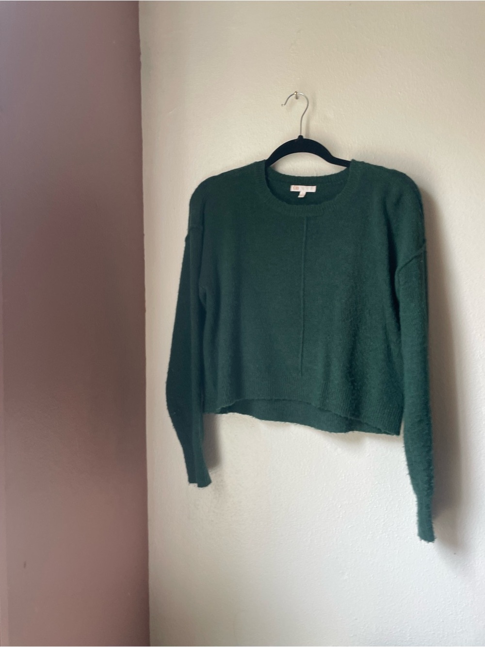 Gianni Bini Forest Green Crewneck Women's Sweater